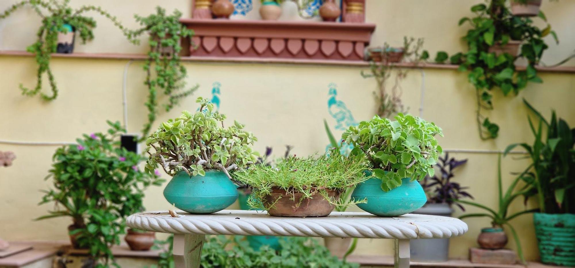 Harsidhi Haveli Apartment Bikaner Exterior foto